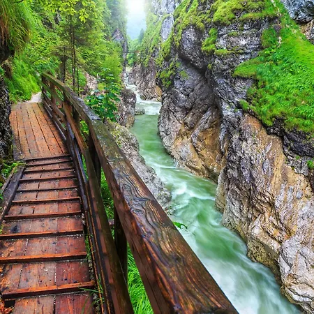 Apartman In - Steiermark 41117 Bad Mitterndorf