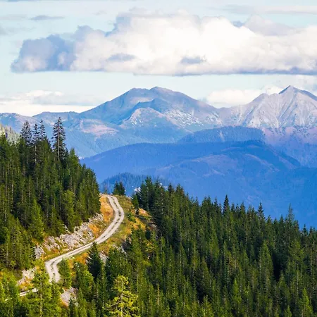 In - Steiermark 41117