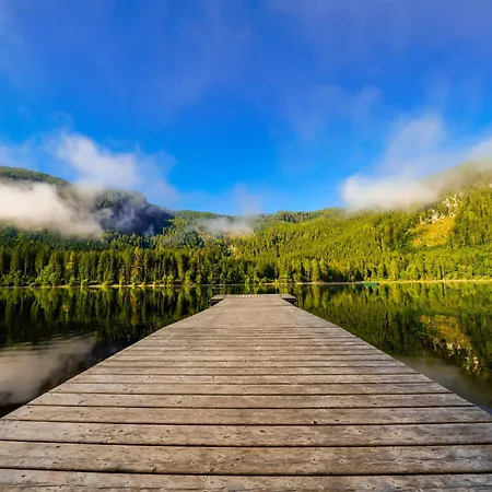 In - Steiermark 41117