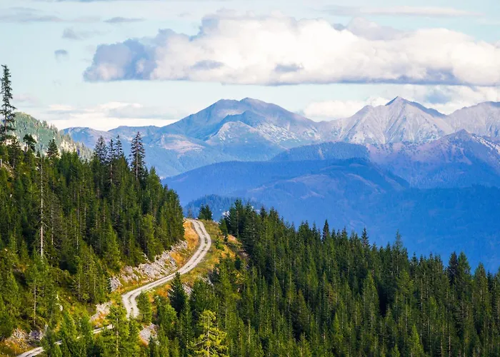 In - Steiermark 41117