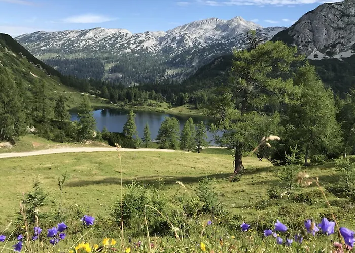 In - Steiermark 41117 *