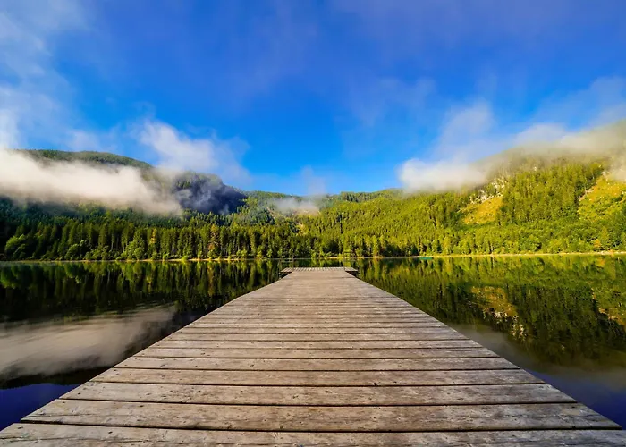 In - Steiermark 41117